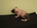 DSC02973.JPG