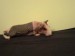 DSC02981.JPG